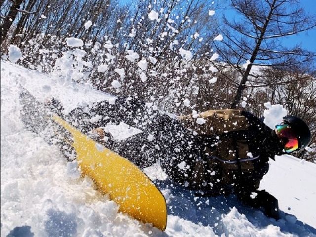 【八方尾根・栂池高原･岩岳】
三山滑れるのはここだけ!!本気で滑りたい方必見!!