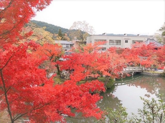 四季豊かな京都の景色が楽しめます♪