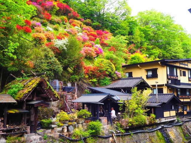 人気エリア黒川温泉でのお仕事です！