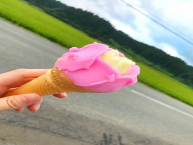 夏場はババヘラアイスも食べれます！！