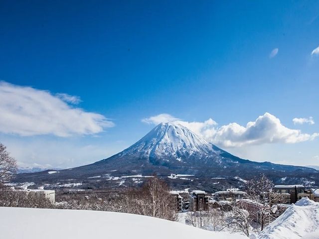 大人気★ニセコヒラフエリアでのお仕事♪