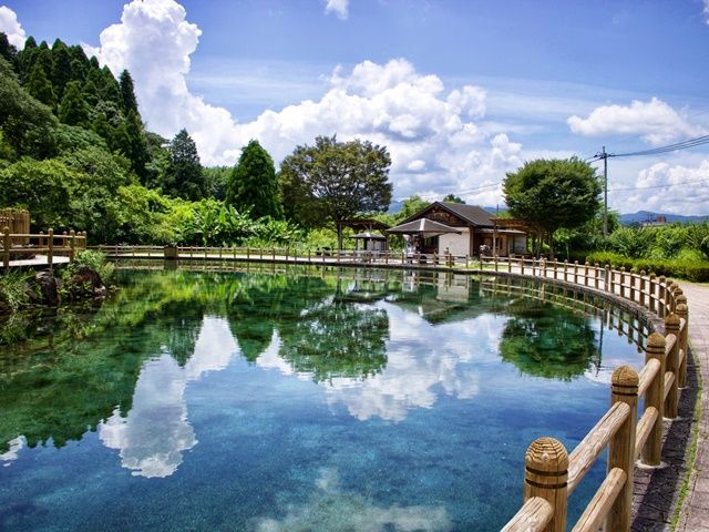 透き通る水を愛でる。丸池湧水は外せない。春は桜、夏はホタルの名所です。