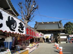 初詣で有名な☆★☆佐野厄除け大師☆★☆