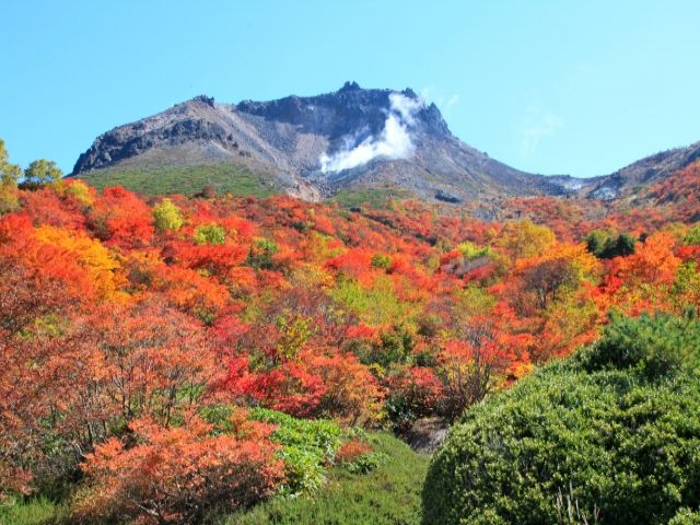 那須は自然も多く空気が気持ちいですよ♪