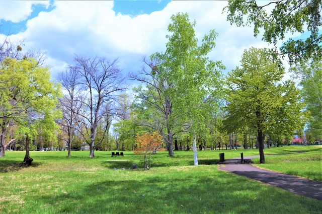 真駒内公園