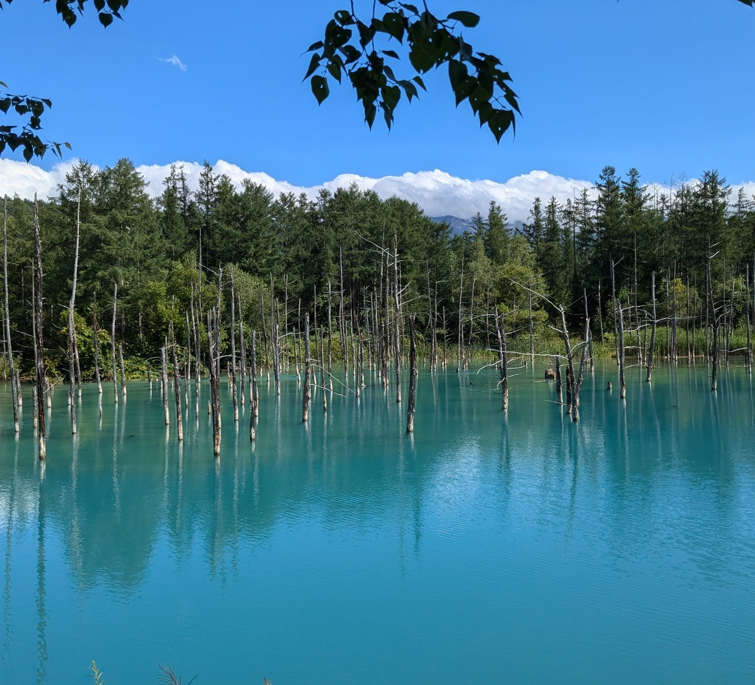 体験談_美瑛（北海道）